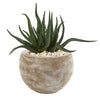 Nearly Natural P1149 17" Artificial Green Aloe Succulent Plant in Sand Colored Planter