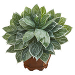 Nearly Natural 8981 18" Artificial Green Real Touch Silver Aglaonema Plant in Decorative Planter 