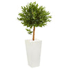 Nearly Natural 9316 4' Artificial Green Olive Topiary Tree in White Planter UV Resistant (Indoor/Outdoor)