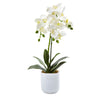 Nearly Natural 4571 Artificial White Phalaenopsis in Frosted Glass Vase