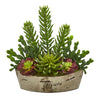Nearly Natural P1185 22" Artificial Green Echeveria & Cactus Succulent Plant in Decorative Planter