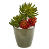 Nearly Natural 8786 17" Artificial Green & Red Mixed Succulent Plant in Decorative Planter