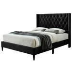 Better Home Products 616859963955 Amelia Velvet Tufted Queen Platform Bed In Black