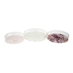 Imax Worldwide Home SG Blush Patterned Decorative Acrylic Trays - Set of 3