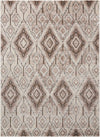 Nourison Karma Transitional Beige Area Rug