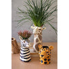 Kalalou CDV2088 Ceramic Safari Animal Succulent Holders Set of 3