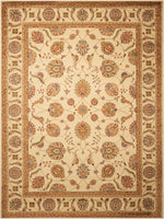 Nourison Paramount Traditional Beige Area Rug