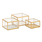IMAX Worldwide Home Marigold Glass Boxes - Set of 3
