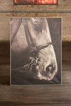 Kalalou CAR1214 Oil Painting Black & White Side View Horse with Silver Frame