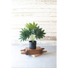Kalalou CNL1262 Artificial Potted Fatsia