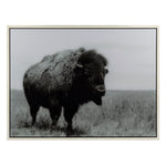 IMAX Worldwide Home Buffalo Framed Acrylic Wall Decor