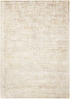 Nourison Desert Skies Traditional Flint Area Rug
