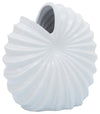 Sagebrook Home 16815-02 Ceramic, 10" Shell Vase, White