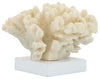 Sagebrook Home 16896 Resin, 6" Coral Table Accent, Ivory