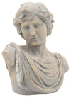 Sagebrook Home 16894 Resin, 21" David Bust, Gray