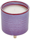 Sagebrook Home 14545 Citronella Candle In Ceramic Planter