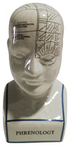 Sagebrook Home 16710-02 Porcelain, 10" Phrenology Bust, White