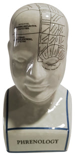 Sagebrook Home 16710-02 Porcelain, 10" Phrenology Bust, White