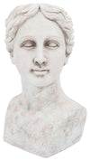 Sagebrook Home 16751 Resin, 18" Lady Bust Planter, Antique White