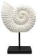 Sagebrook Home 16886 Resin, 12" Shell On A Stand, White