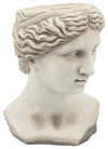Sagebrook Home 16192 Resin 11" Lady Head Planter, Antique White