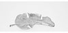 Sagebrook Home 16351-01 Metal, 13" Tropical Leaf Tray, Silver