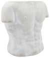 Sagebrook Home 16874 Resin, 17" Torso Planter, Antique White
