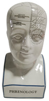 Sagebrook Home 16710-01 Porcelain, 12" Phrenology Bust, White