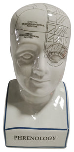 Sagebrook Home 16710-01 Porcelain, 12" Phrenology Bust, White