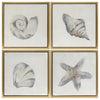 Sagebrook Home 70038 18x18", Set of 4, Sea Shells Oil Painting, Gold