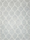 Nourison Galway Contemporary Mint Area Rug