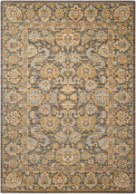 Nourison Timeless Traditional Opal/Grey Area Rug