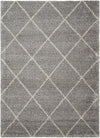 Nourison Brisbane Contemporary Ash Area Rug