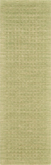 Nourison Perris Contemporary Green Area Rug
