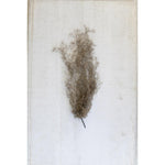 Neutral Grey Artificial Moss – 30" Tall Vase and Planter Filler by Kalalou