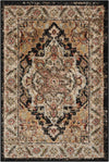 Nourison Delano Traditional Black Area Rug