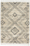 Nourison Scandinavian Shag Contemporary Ivory/Grey Area Rug