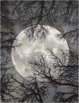 Nourison Tahoe Modern Contemporary Moon Area Rug