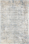 Nourison Desert Skies Traditional Blue Area Rug