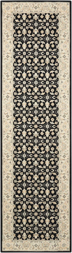 Nourison Persian Empire Traditional Black Area Rug