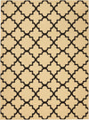 Nourison Grafix Transitional Cream/Black Area Rug
