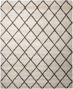 Nourison Brisbane Contemporary Ivory/Charcoal Area Rug