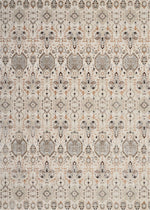 Nourison Silver Screen Transitional Grey/Slate Area Rug