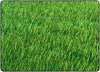 Flagship Carpets FA1536 Grass Rectangle Rug