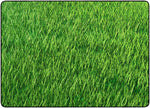 Flagship Carpets FA1536 Grass Rectangle Rug