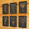Kalalou Botanical Wall Art – Set of Six Framed Prints Under Glass