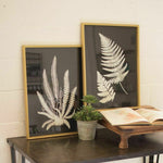 Kalalou CHH1183 Black and White Fern Prints Under Glass, Set of Two