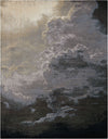Nourison Tahoe Modern Contemporary Storm Area Rug