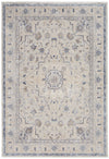 Nourison Sleek Textures Traditional Ivory/Grey Area Rug