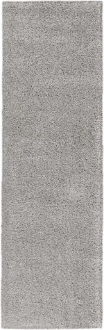 Nourison Malibu Shag Contemporary Silver Grey Area Rug